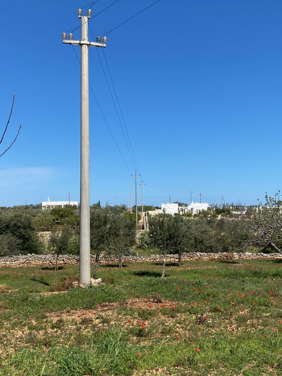 Agricolo / Coltura a Polignano a Mare (zona Contrada Grottole - Acquafredda)