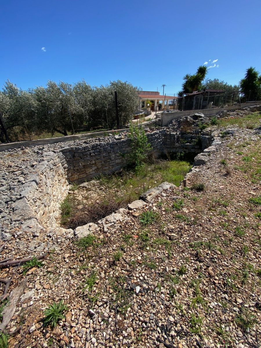 Agricolo / Coltura a Polignano a Mare (zona Contrada Grottole - Acquafredda)