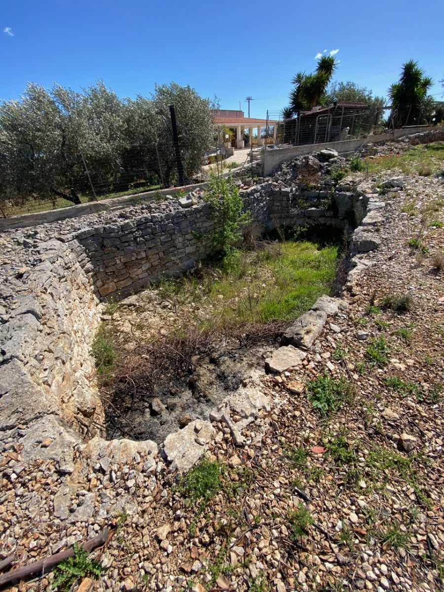 Agricolo / Coltura a Polignano a Mare (zona Contrada Grottole - Acquafredda)