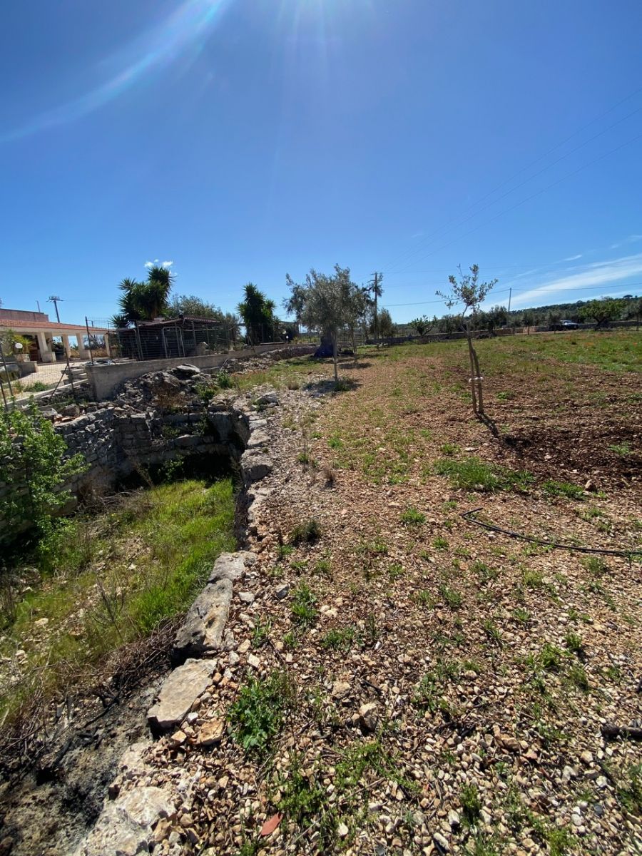 Agricolo / Coltura a Polignano a Mare (zona Contrada Grottole - Acquafredda)