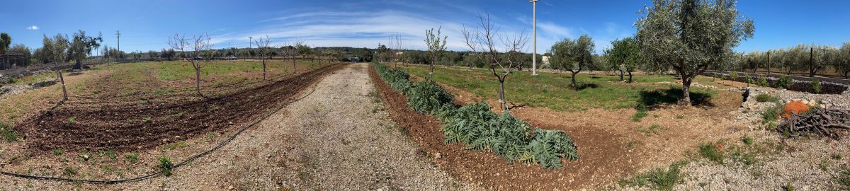 Agricolo / Coltura a Polignano a Mare (zona Contrada Grottole - Acquafredda)