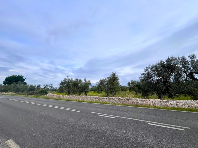 Terreno agricolo a Ruvo di Puglia