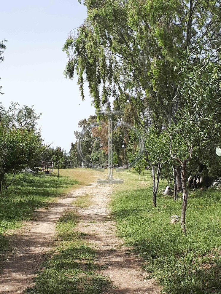 Villa (zona turistica) di  6 vani /1852 mq  a Bisceglie