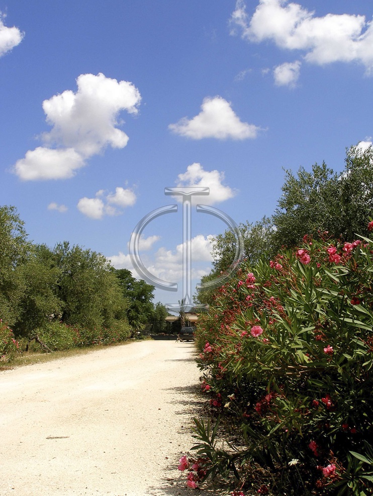 Villa (zona turistica) di  6 vani /1852 mq  a Bisceglie