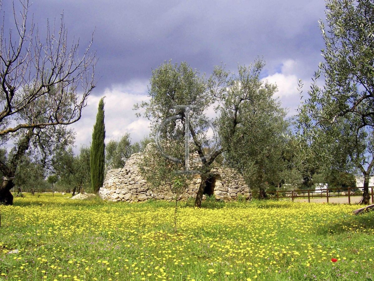 Villa (zona turistica) di  6 vani /1852 mq  a Bisceglie