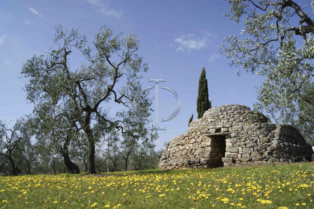 Villa (zona turistica) di  6 vani /1852 mq  a Bisceglie