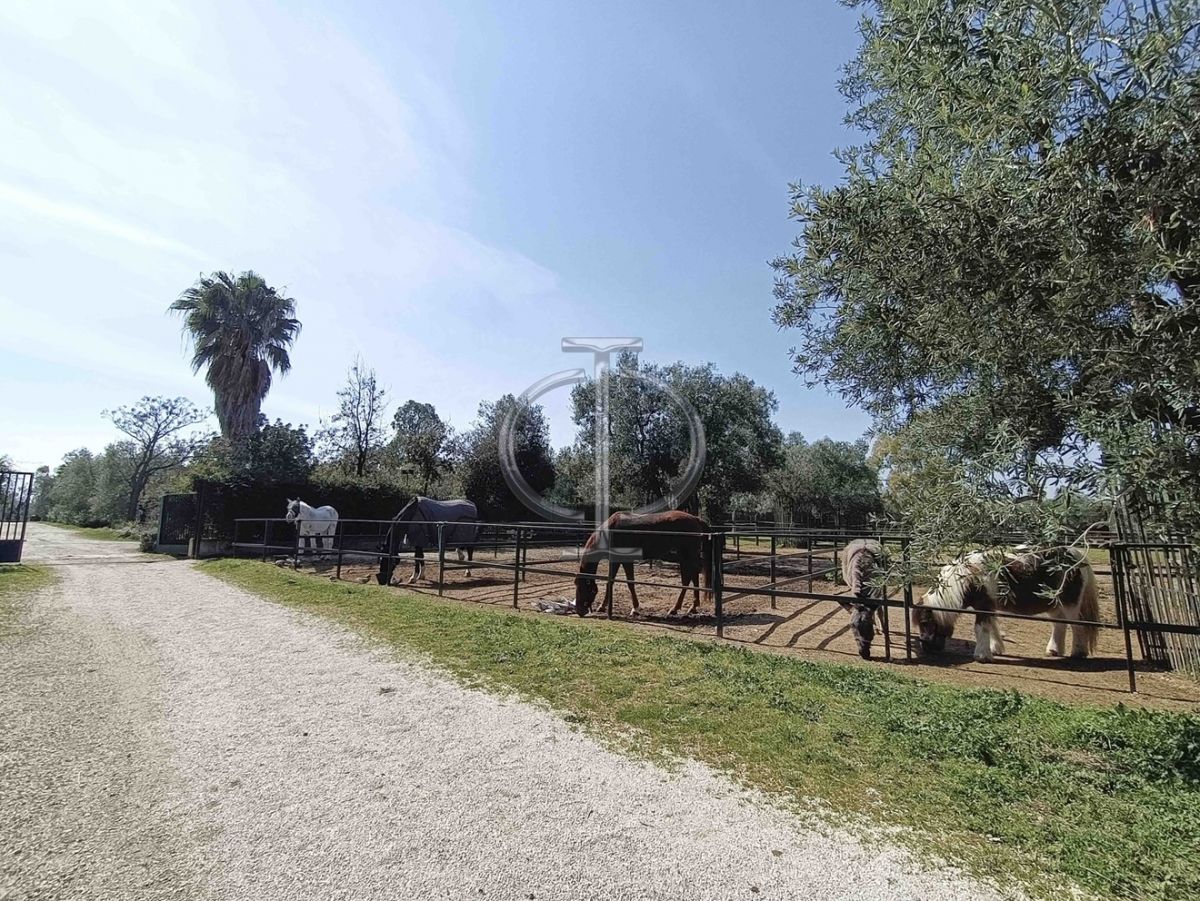 Villa (zona turistica) di  6 vani /1852 mq  a Bisceglie