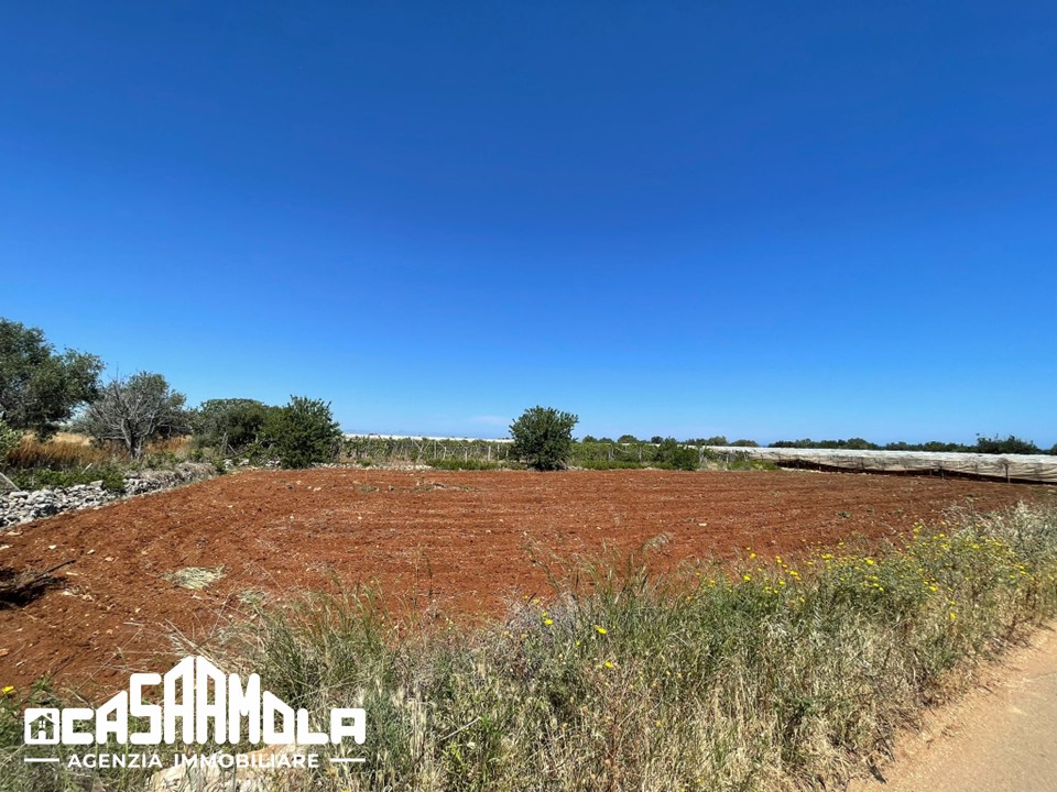 Terreno agricolo zona Mola-Cozze