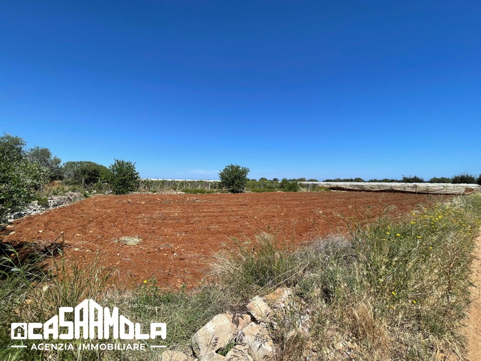 Terreno agricolo zona Mola-Cozze