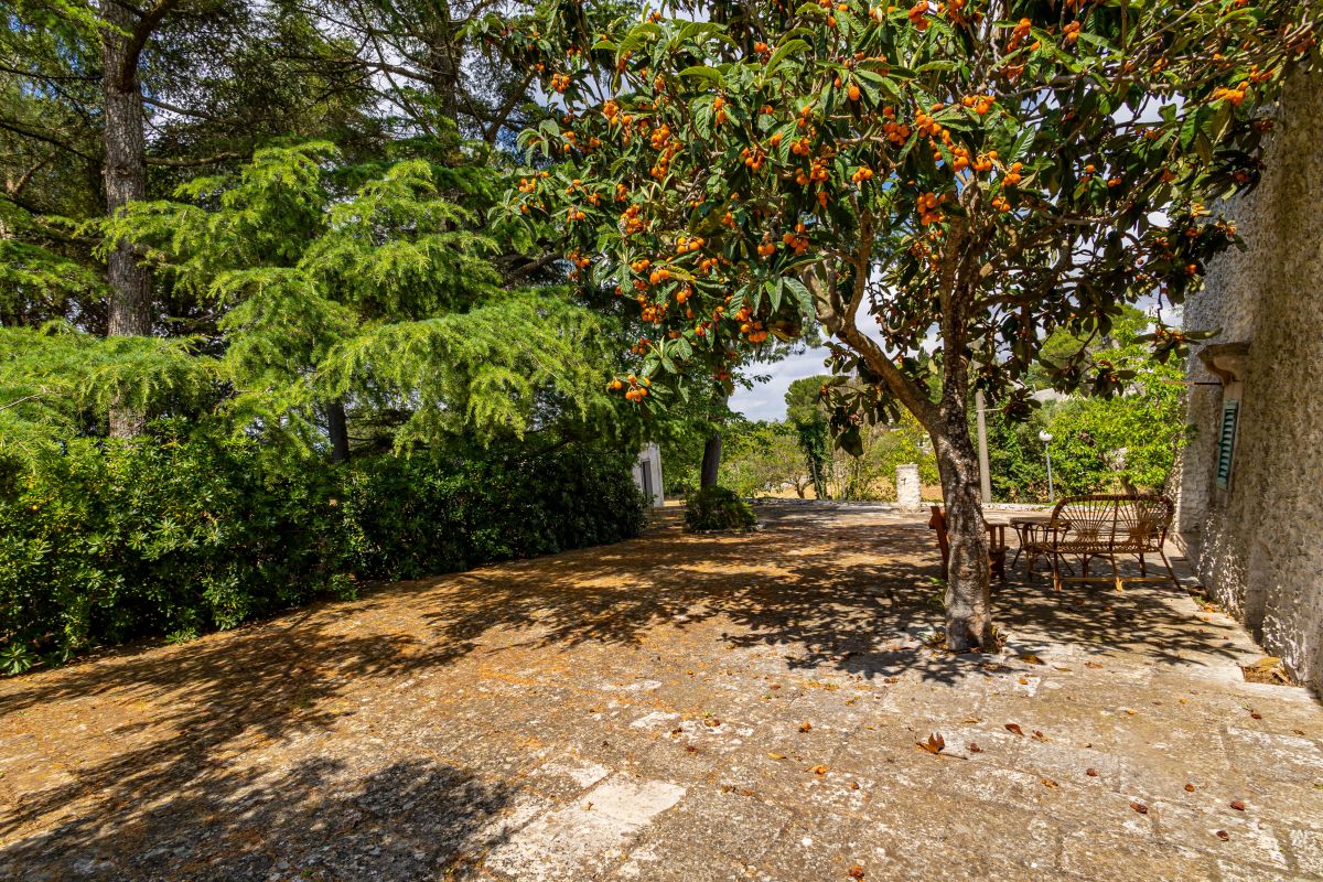 Trulli Locorotondo