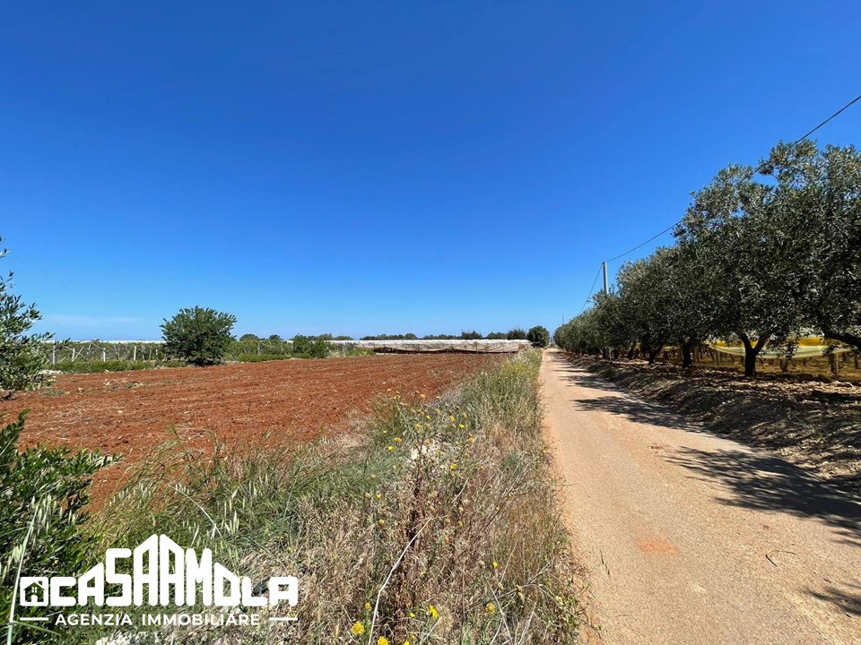 Terreno agricolo zona Mola-Cozze