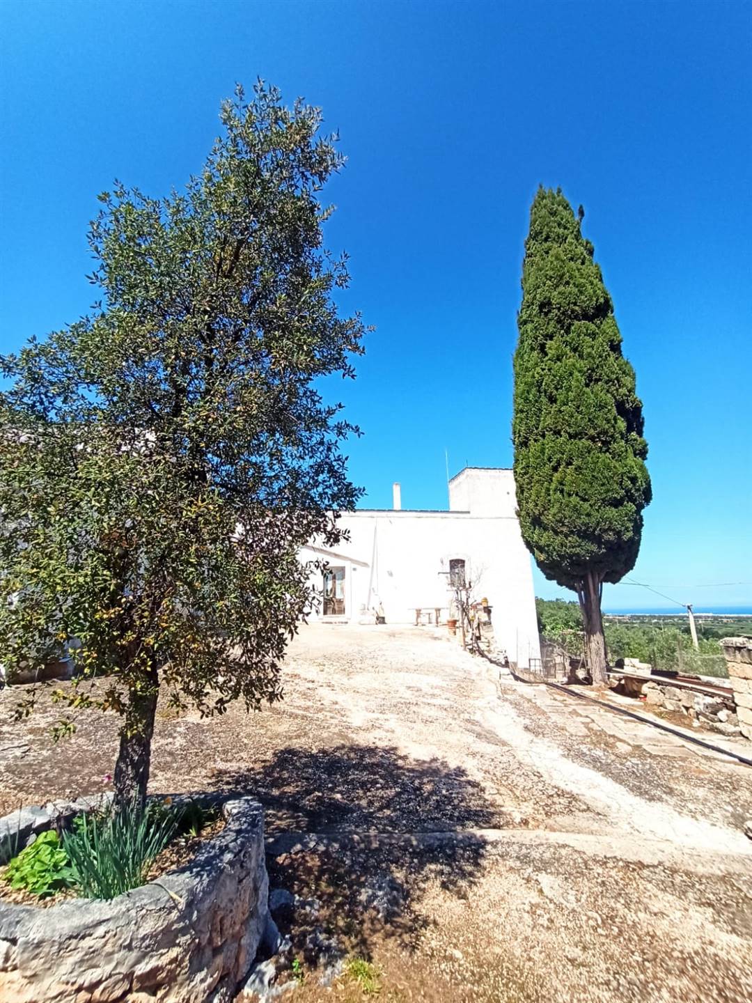 Rustico / Casale / Masseria di  6 vani /200 mq  a Monopoli