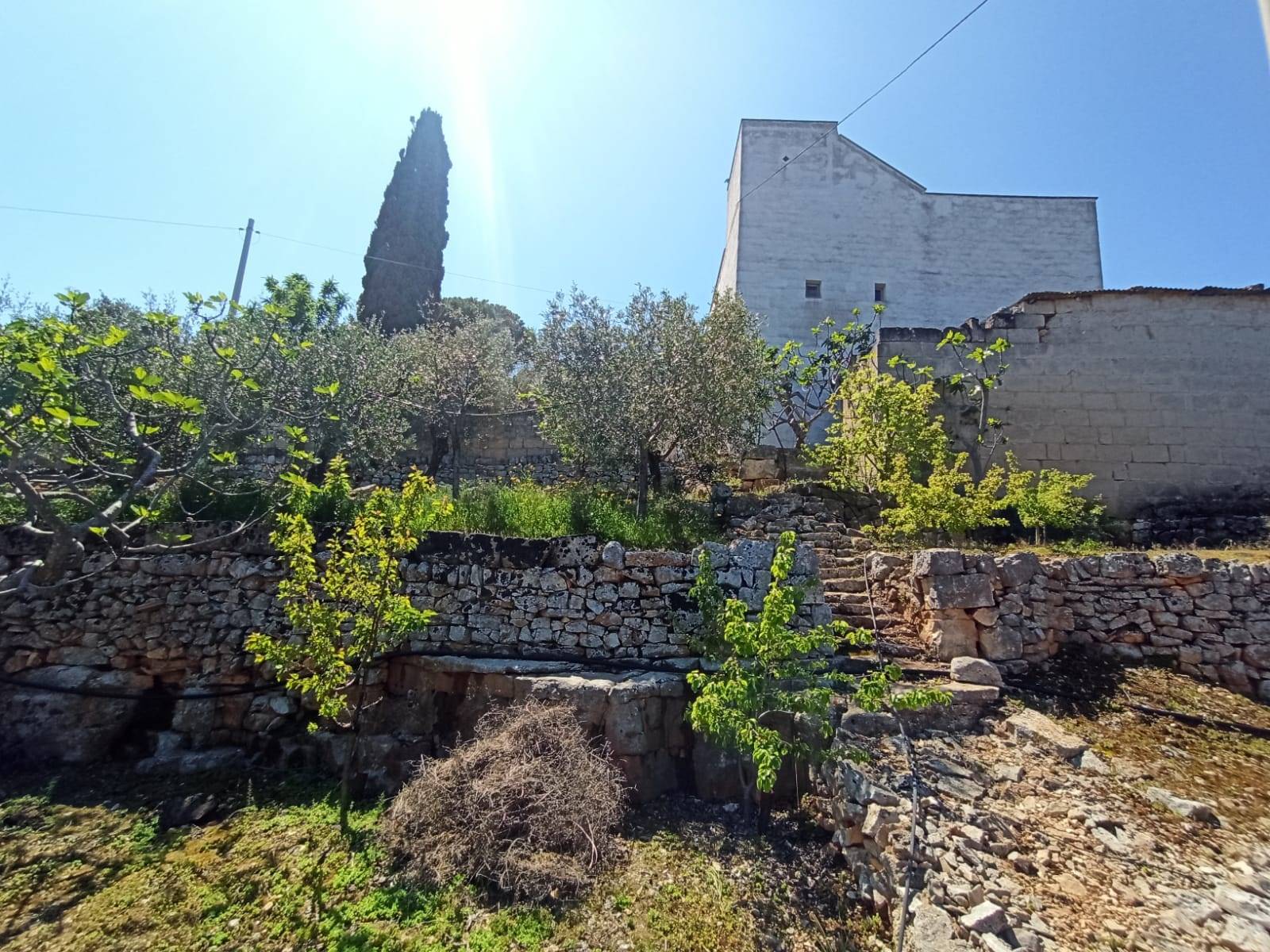 Rustico / Casale / Masseria di  6 vani /200 mq  a Monopoli