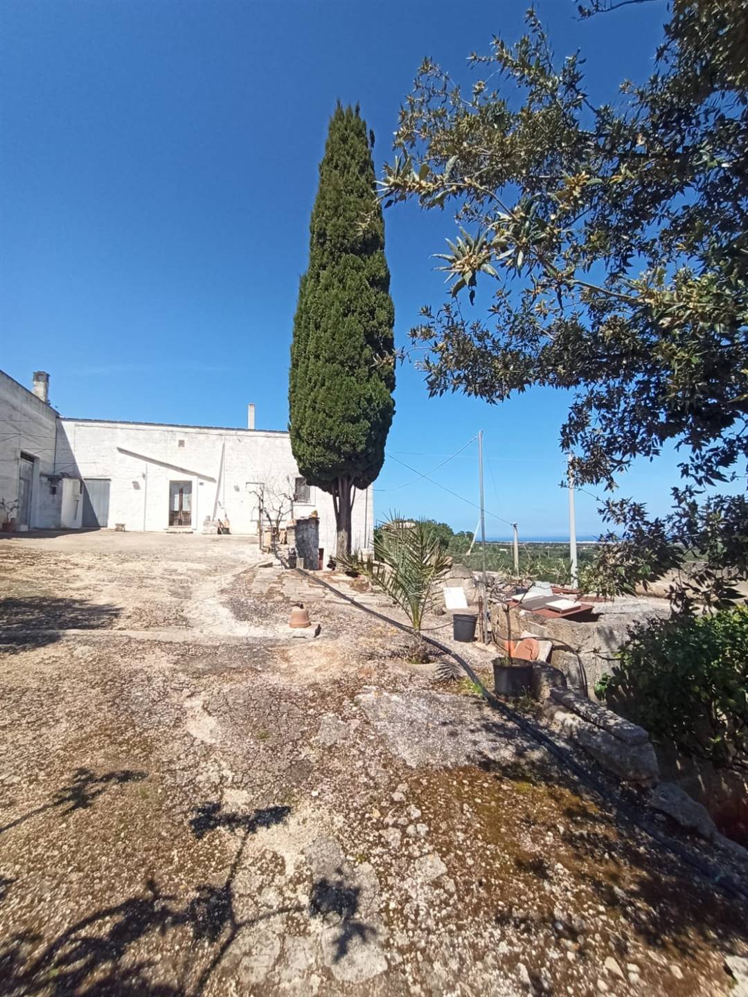 Rustico / Casale / Masseria di  6 vani /200 mq  a Monopoli