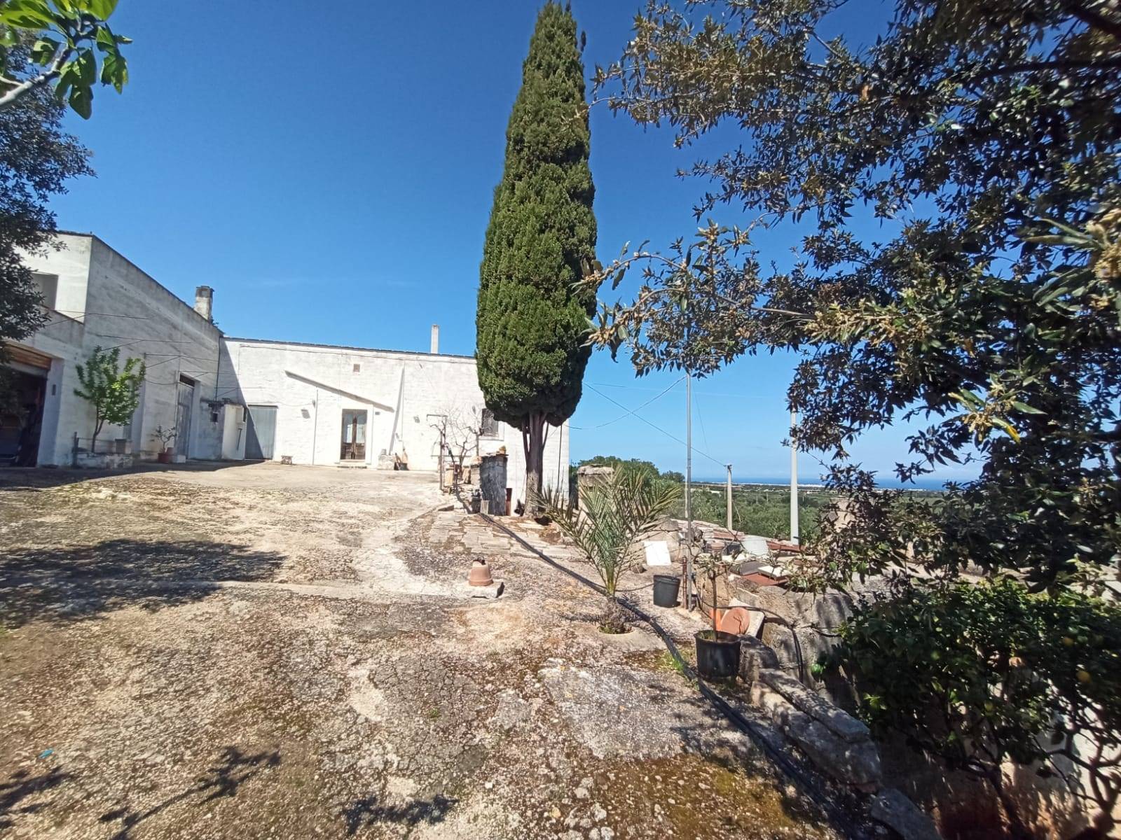 Rustico / Casale / Masseria di  6 vani /200 mq  a Monopoli