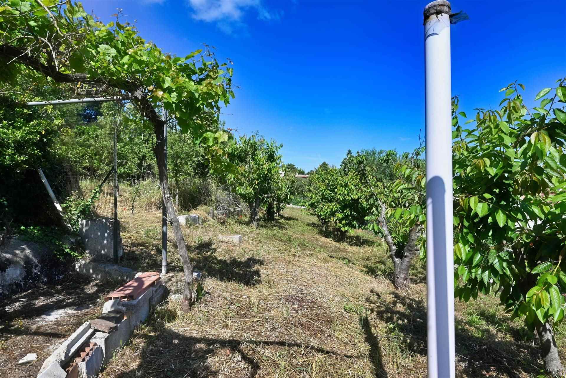 Villa (zona residenziale) di  5 vani /100 mq  a Putignano (zona AGRO DI PUTIGNANO)