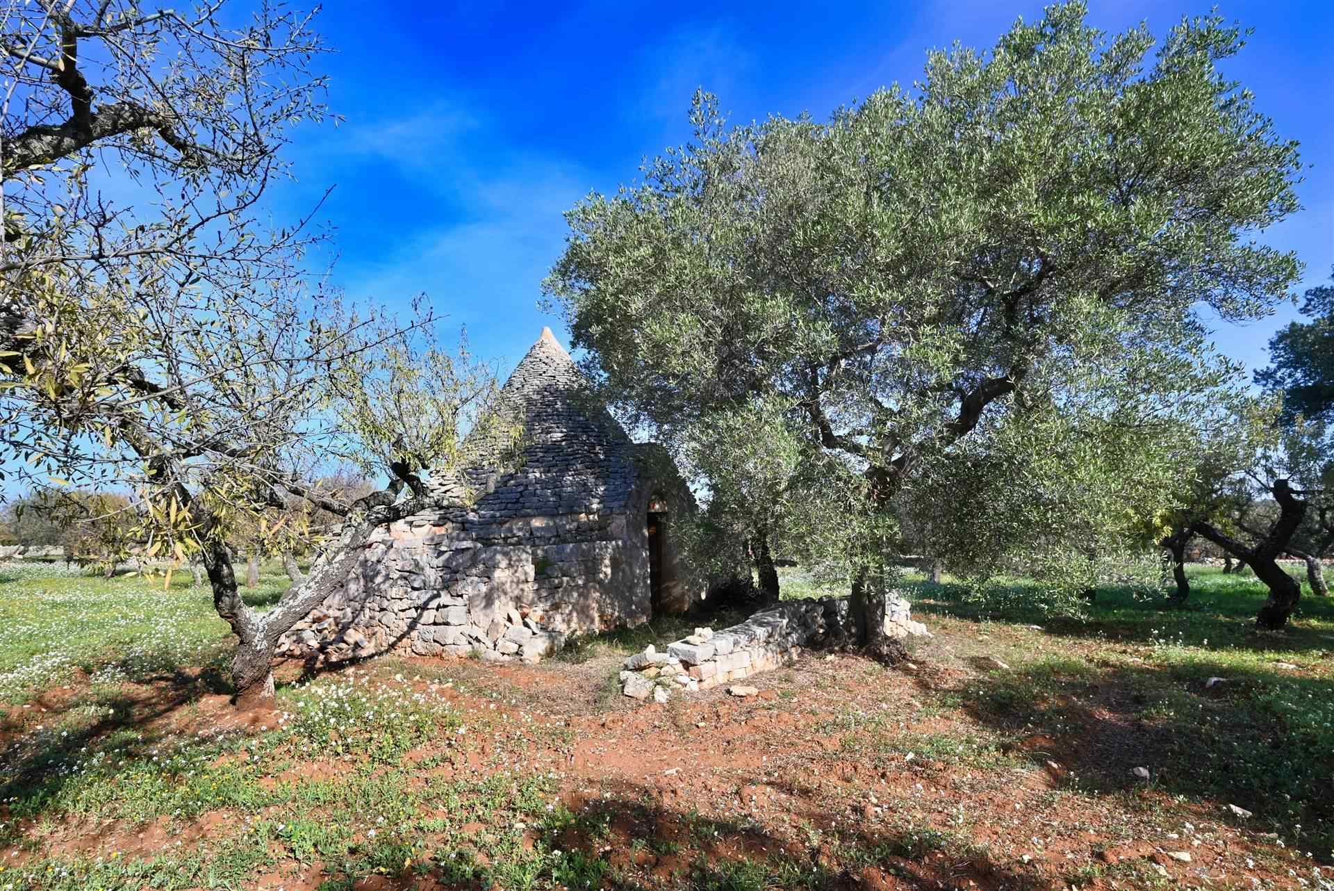 Trullo di  1 vani /28 mq  a Castellana Grotte