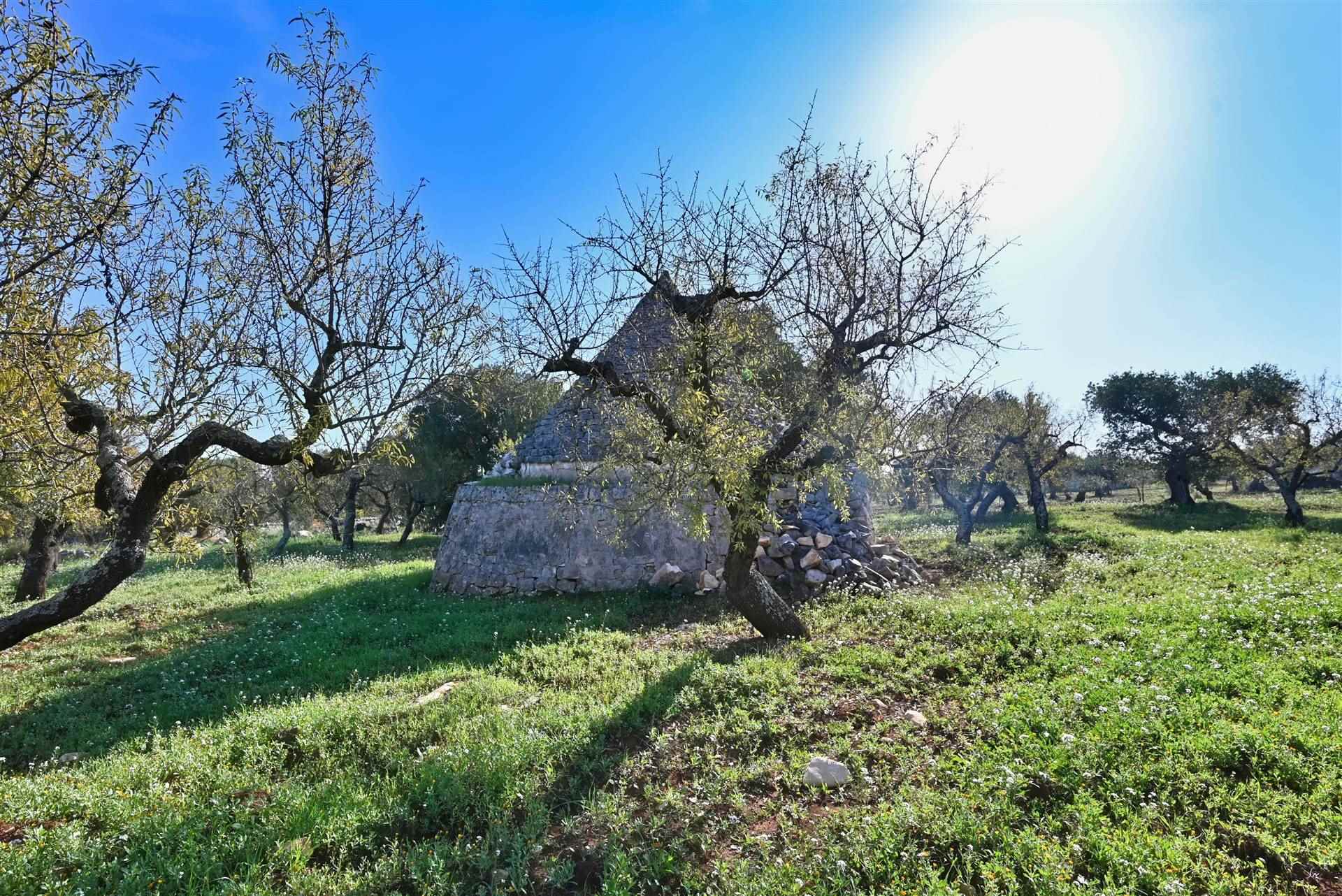 Trullo di  1 vani /28 mq  a Castellana Grotte