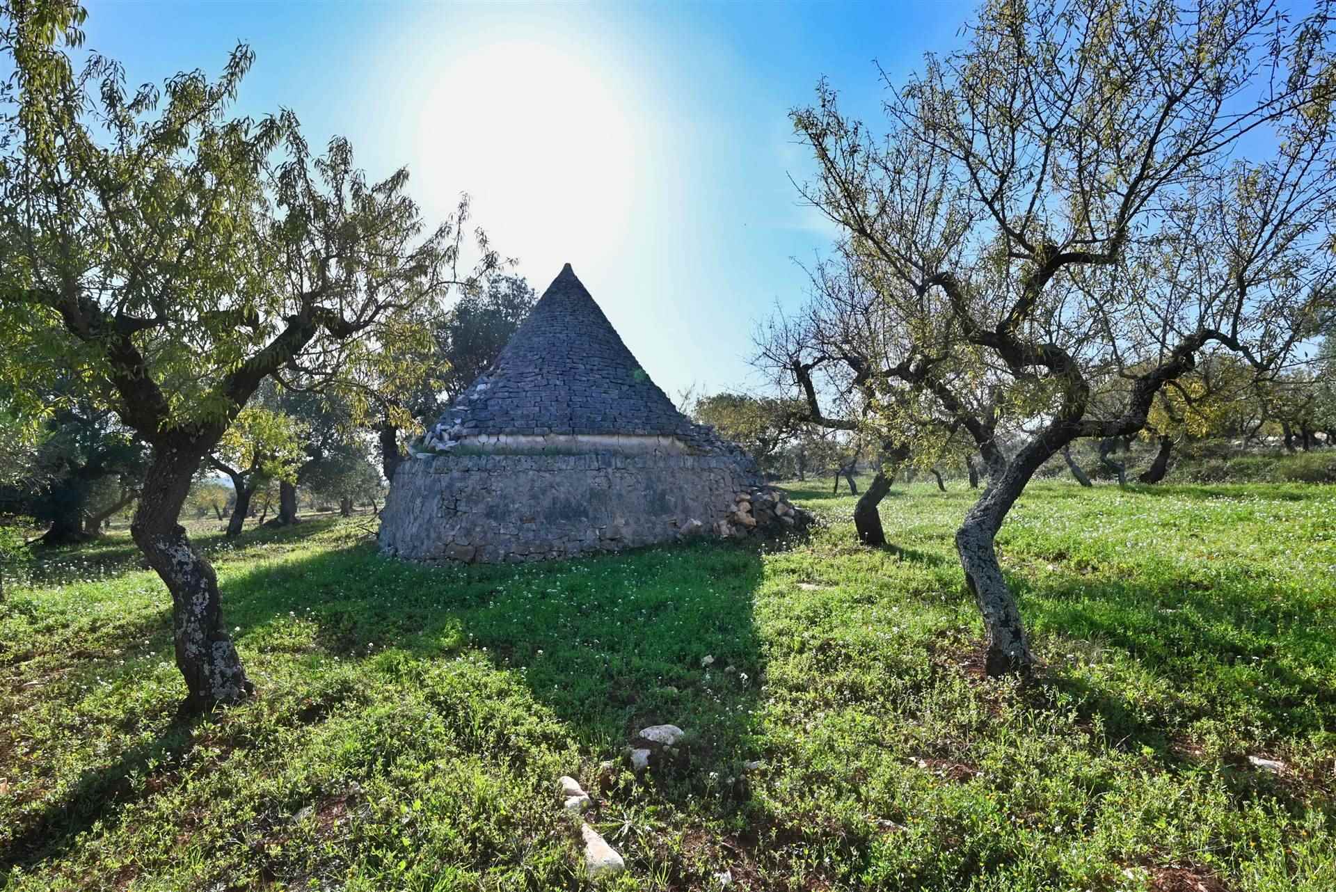 Trullo di  1 vani /28 mq  a Castellana Grotte