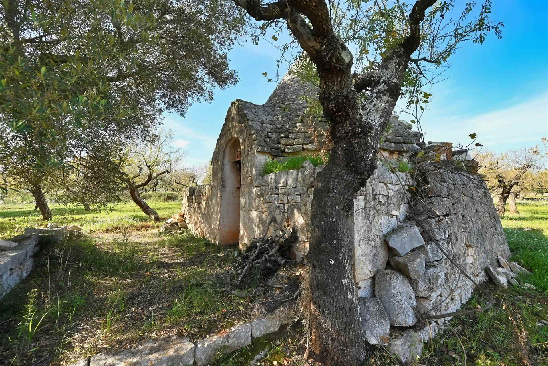 Trullo di  1 vani /28 mq  a Castellana Grotte