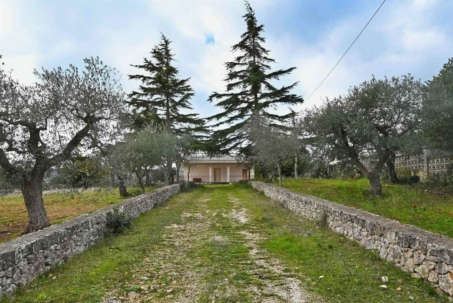 Villa (zona residenziale) di  6 vani /209 mq  a Putignano (zona AGRO DI PUTIGNANO)