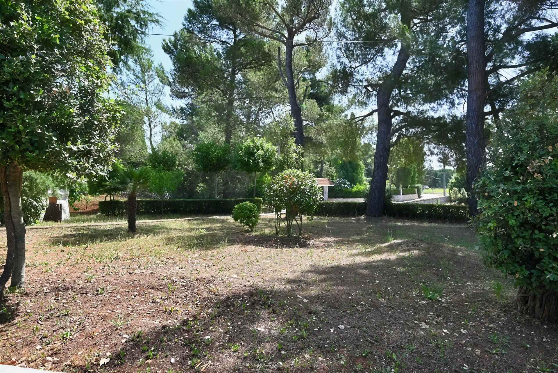 Villa (zona residenziale) di  4 vani /116 mq  a Putignano (zona AGRO DI PUTIGNANO)