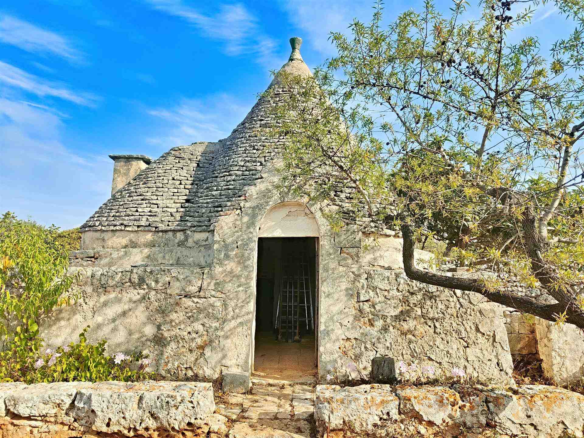 Trullo di  1 vani /27 mq  a Putignano (zona AGRO DI PUTIGNANO)