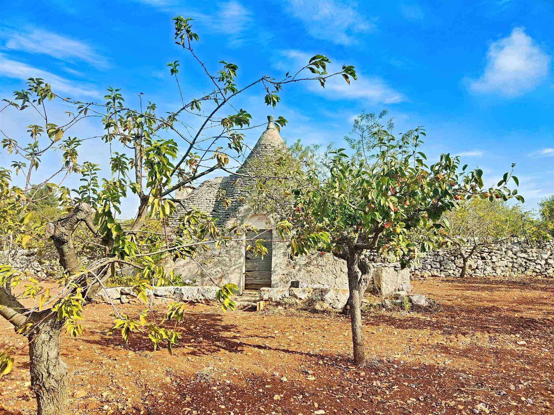 Trullo di  1 vani /27 mq  a Putignano (zona AGRO DI PUTIGNANO)