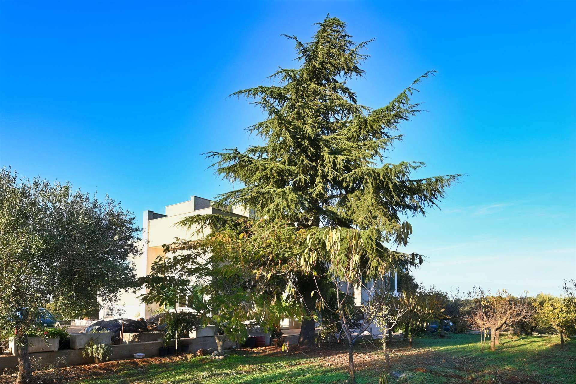 Villa (zona residenziale) di  6 vani /300 mq  a Castellana Grotte