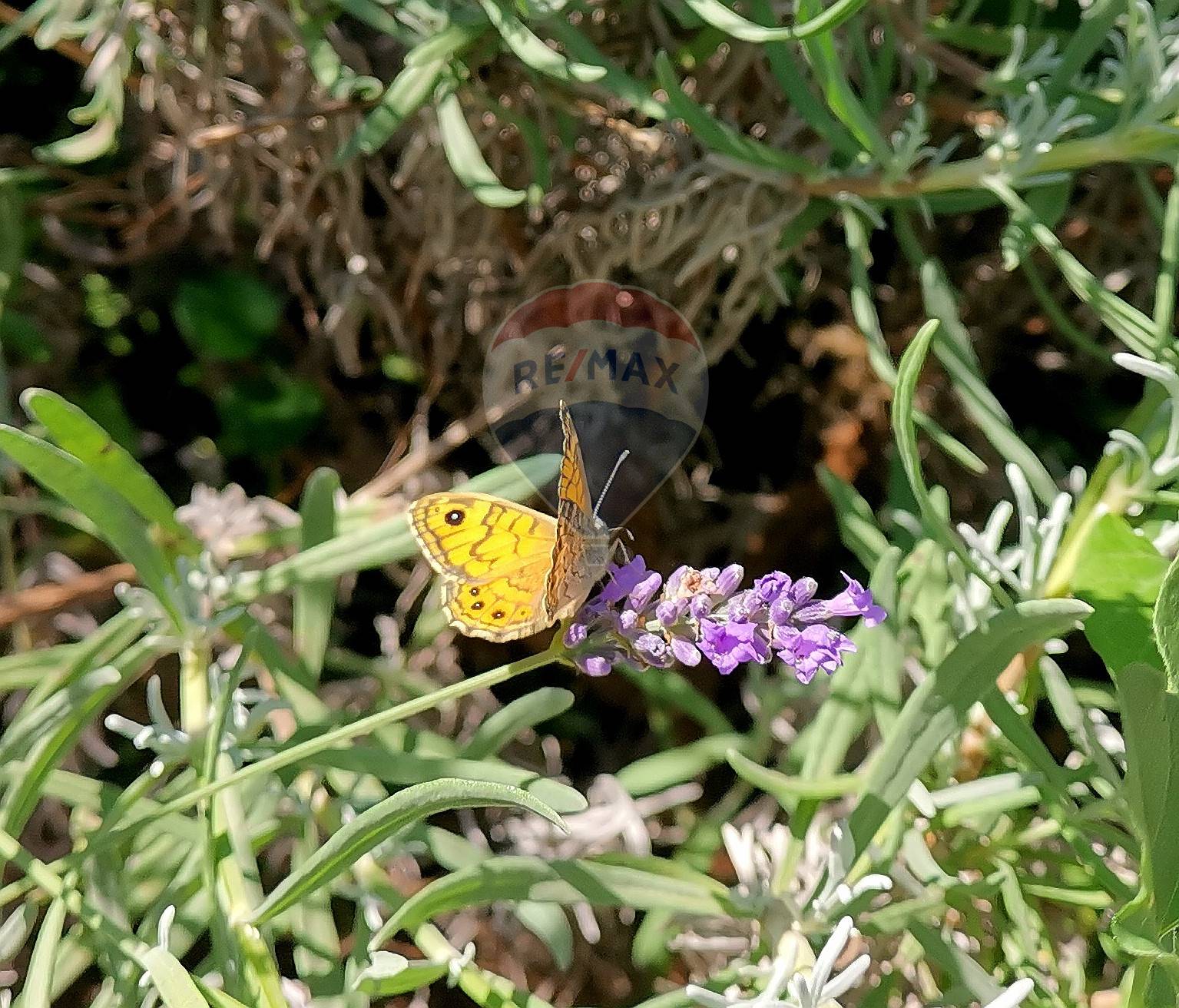 Bifamiliare di  5 vani /172 mq  a Bari - Carrassi (zona Carrassi)