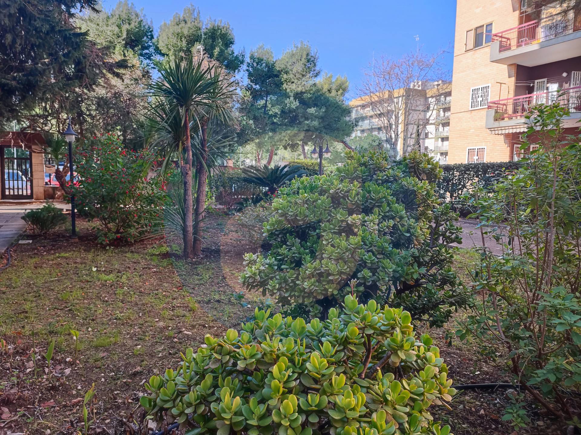 Appartamento di  4 vani /155 mq  a Bari - Poggiofranco (zona Poggiofranco)