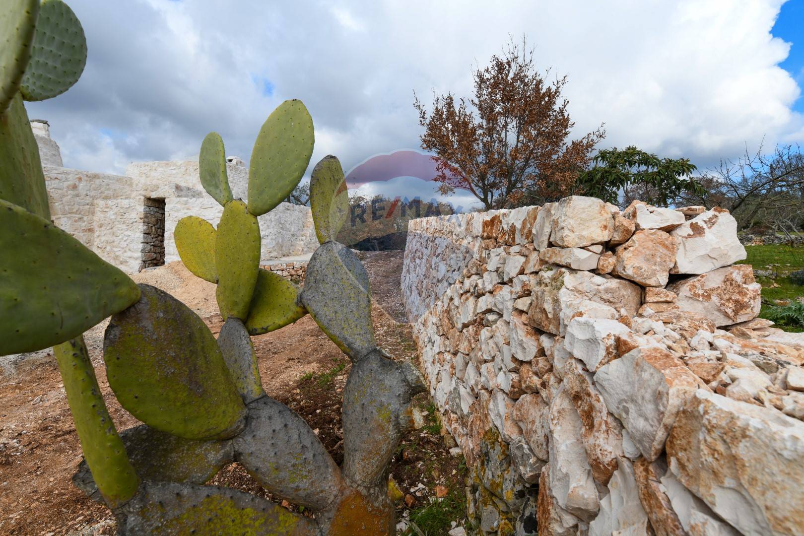 Appartamento di  4 vani /95 mq  a Ostuni