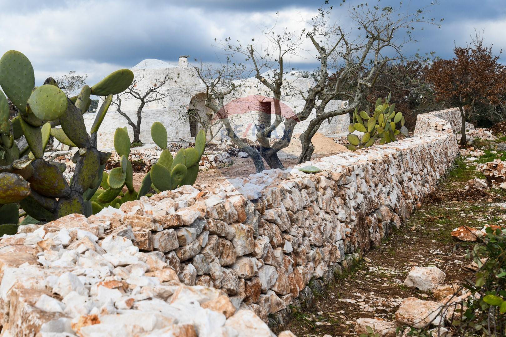 Appartamento di  4 vani /95 mq  a Ostuni