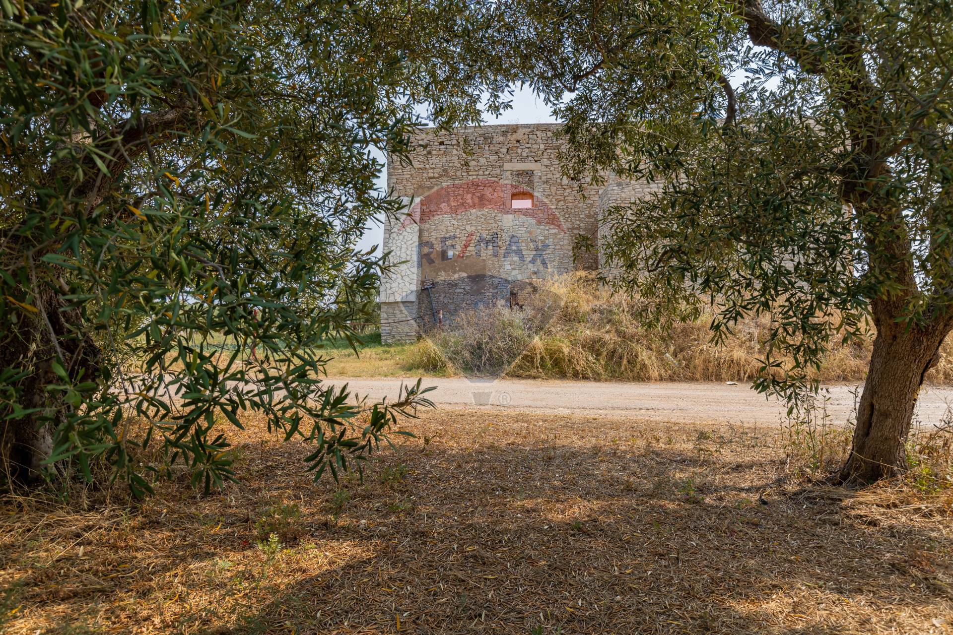 Rustico / Casale / Masseria di  6 vani /621 mq  a Giovinazzo