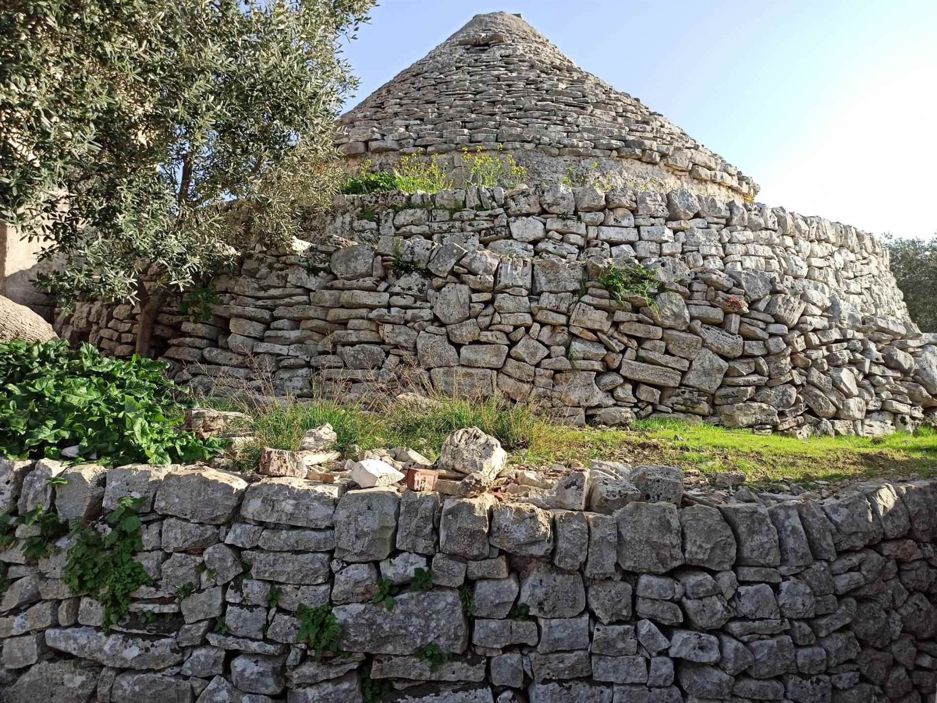 Rustico / Casale / Masseria di  6 vani /800 mq  a Polignano a Mare