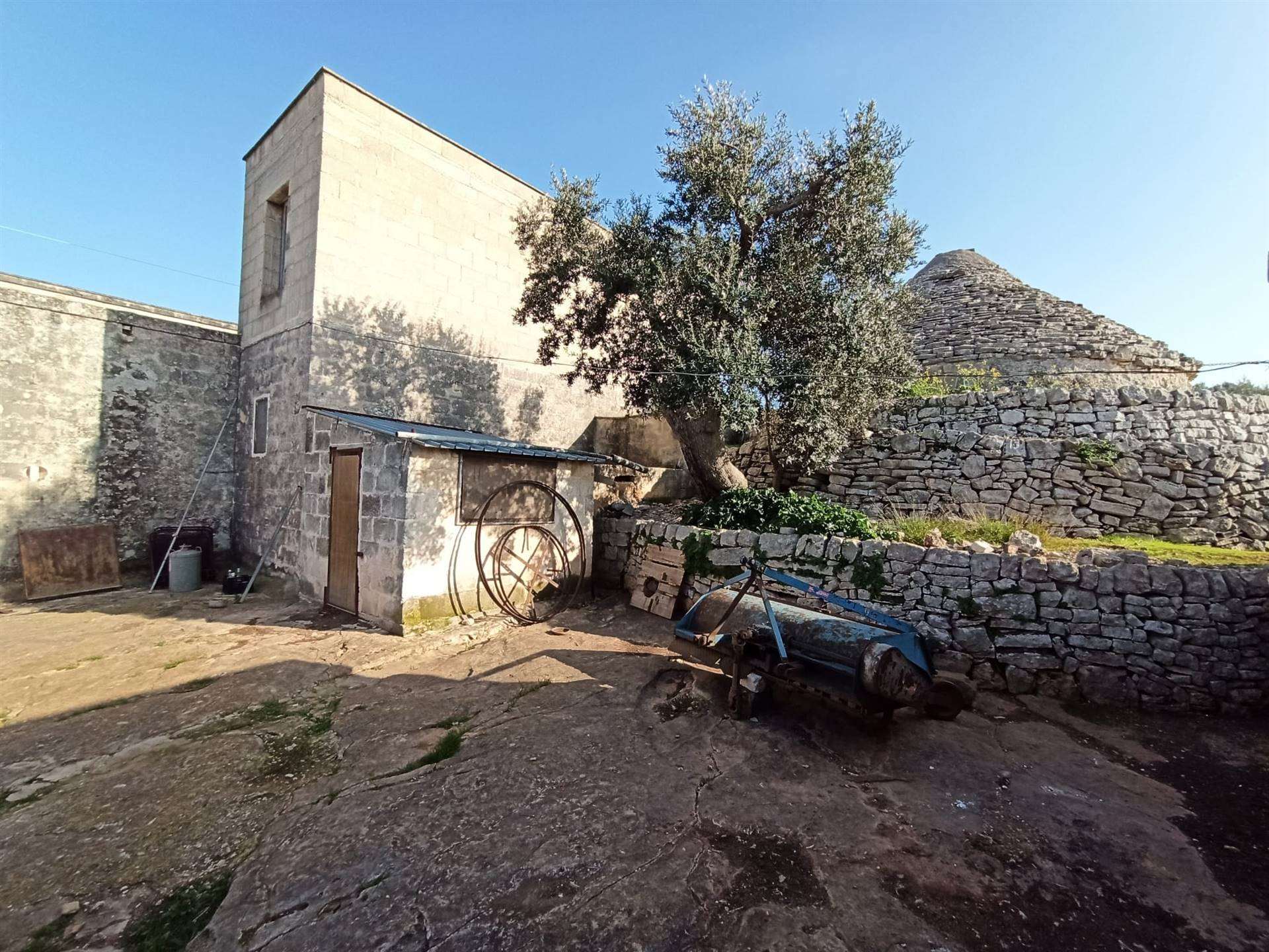 Rustico / Casale / Masseria di  6 vani /800 mq  a Polignano a Mare