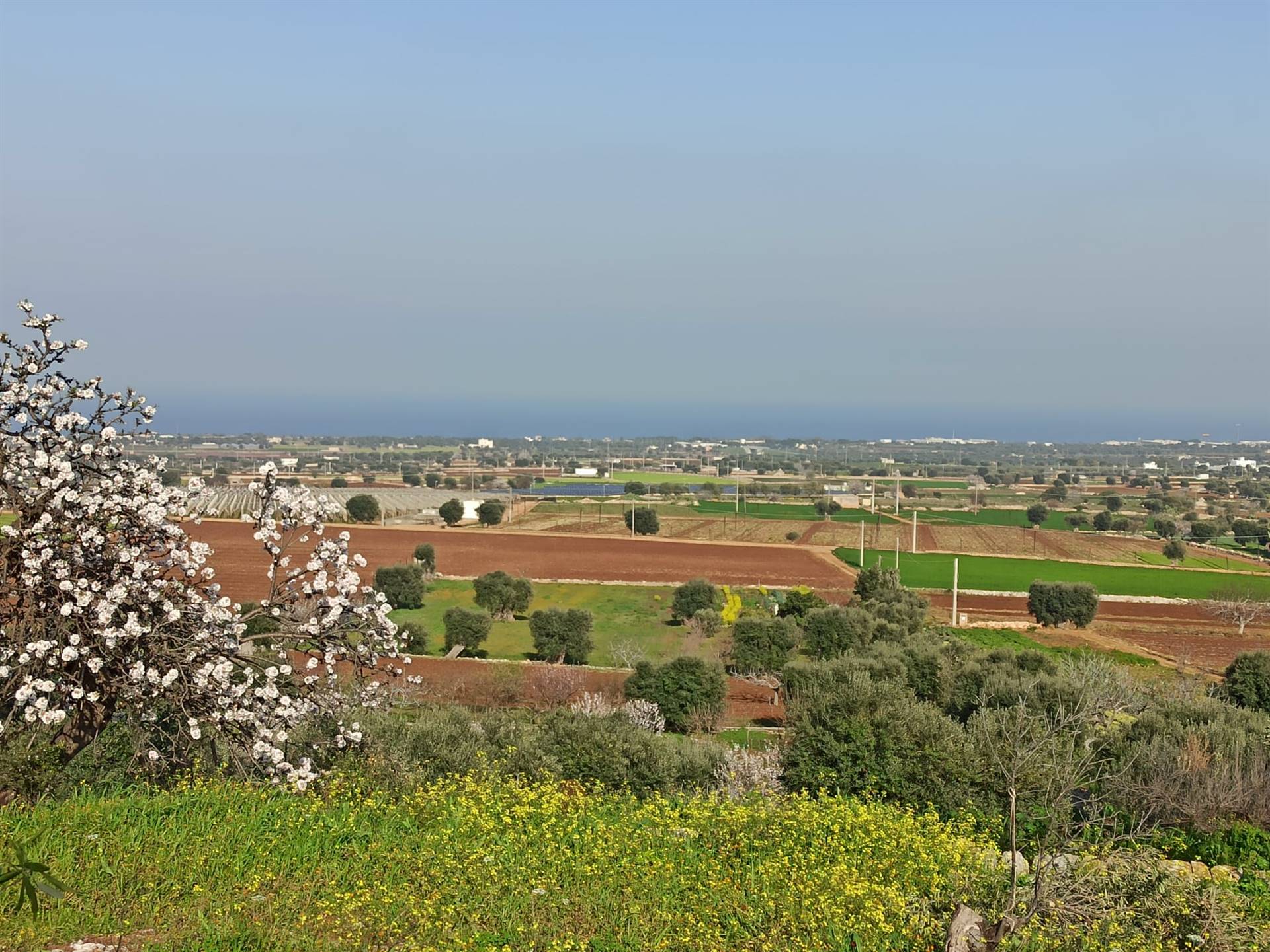 Rustico / Casale / Masseria di  6 vani /800 mq  a Polignano a Mare