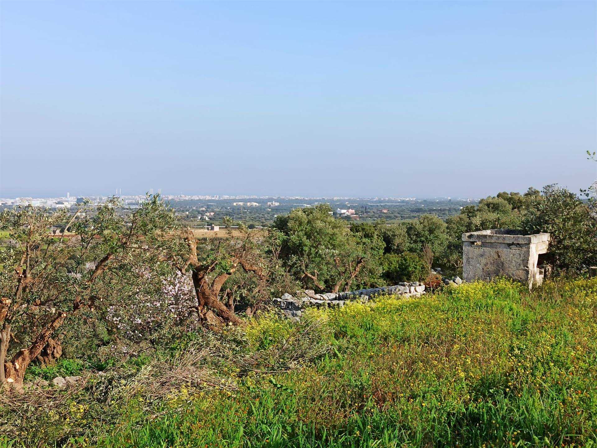 Rustico / Casale / Masseria di  6 vani /800 mq  a Polignano a Mare