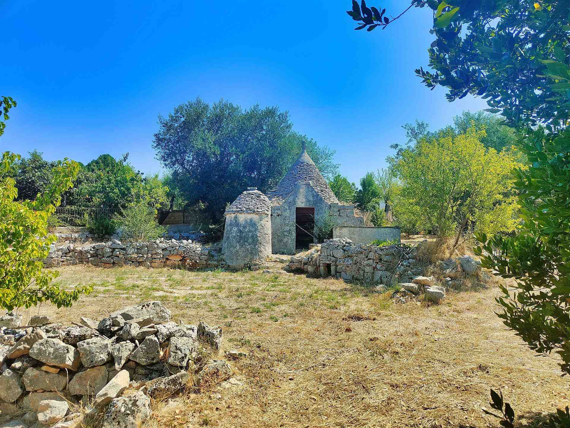 Trullo di  1 vani /19 mq  a Putignano (zona AGRO DI PUTIGNANO)