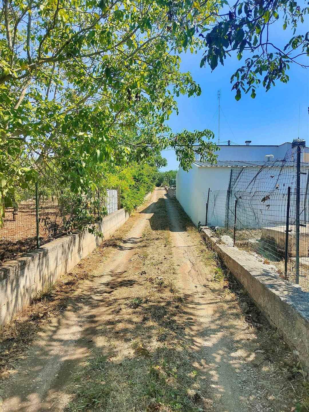 Trullo di  1 vani /19 mq  a Putignano (zona AGRO DI PUTIGNANO)