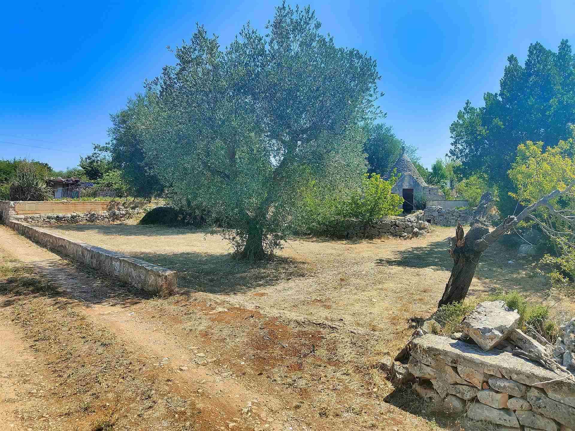 Trullo di  1 vani /19 mq  a Putignano (zona AGRO DI PUTIGNANO)