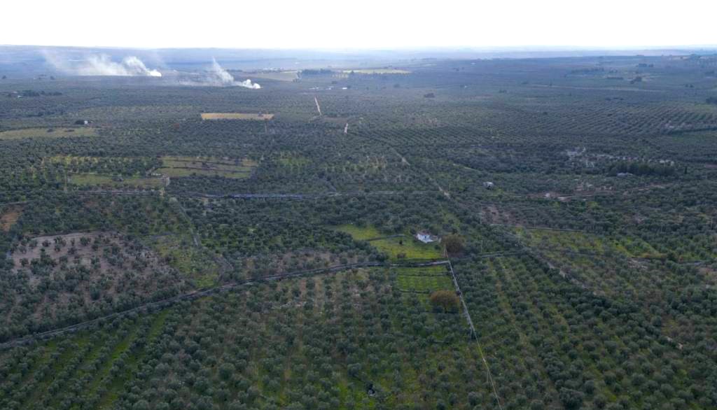 Terreno agricolo in vendita