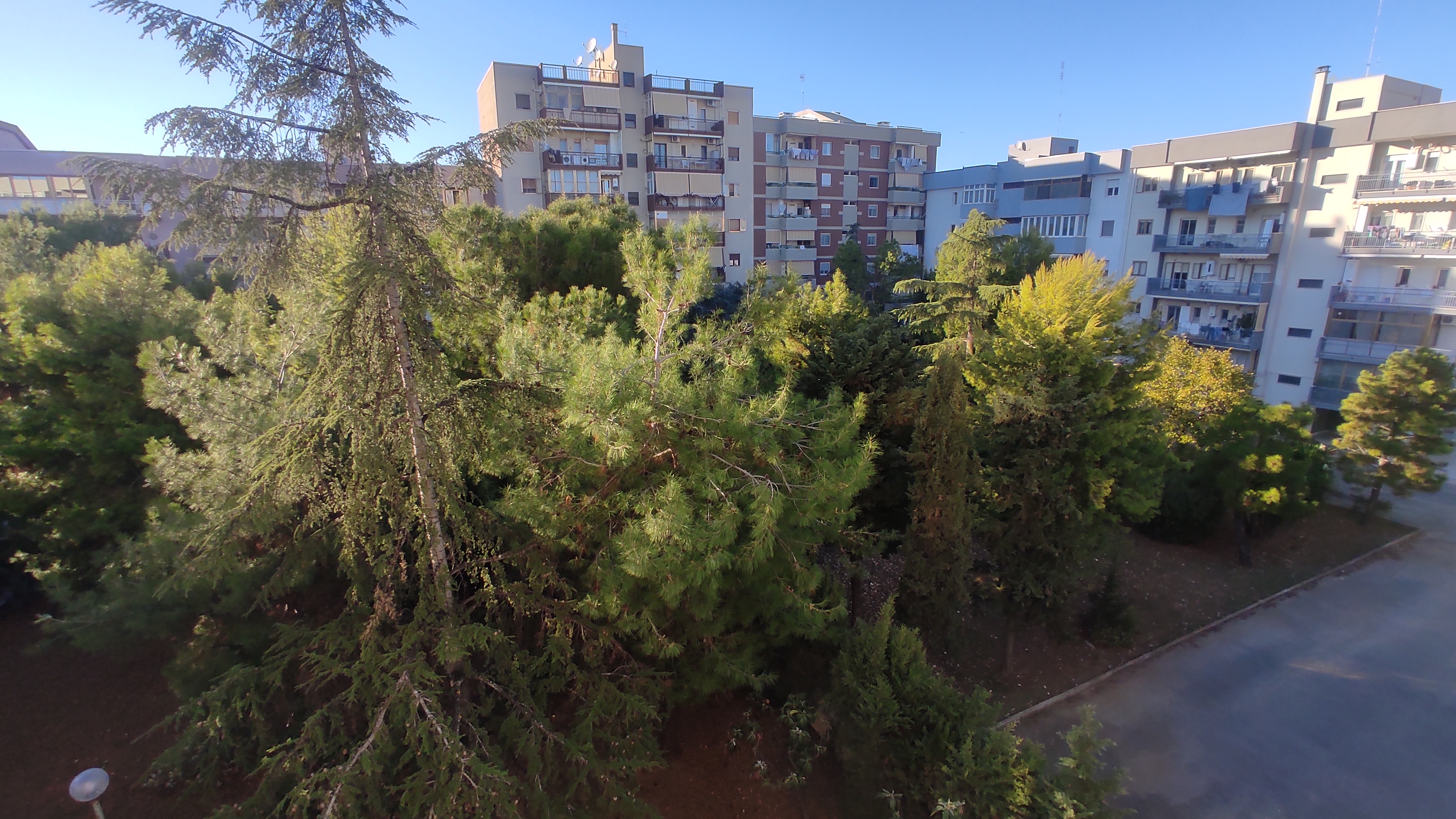 Bari (Japigia), zona residenziale. Affittasi ampio pentavani accessoriato.